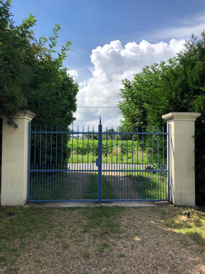 Villebernier Chambres D Hotes Avec Piscine Et Spa La Foliere Saumur المظهر الخارجي الصورة